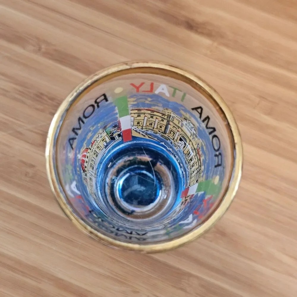 5 Shot Glasses, Rome, Belize, Floral, Florida, Dumb One ;)